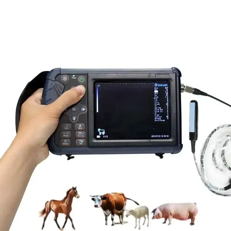 

Portable Veterinary Ultrasound Rectal Linear Probe Cattle Scanner