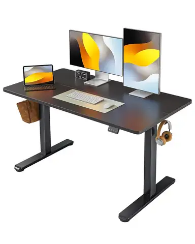 Electric Standing Desk Adjustable Height, 48 x 24 Inch Sit and Stand Desk, Home Office Desk, Ergonomic Computer, Customized