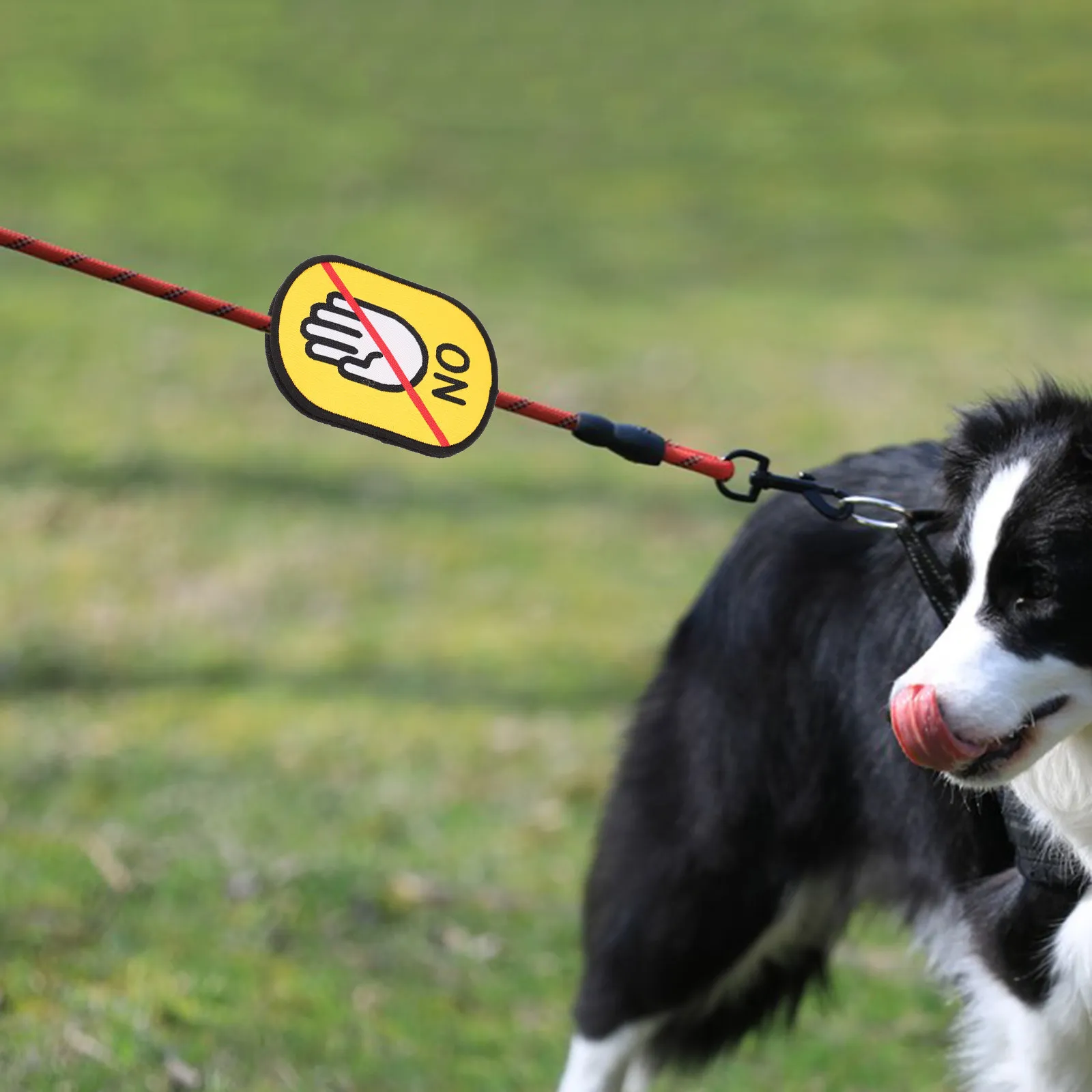 Pet Leash Sticker Do Not Pet Dog Animal Identification Label Removable No Residue Socialization Helper for Walks