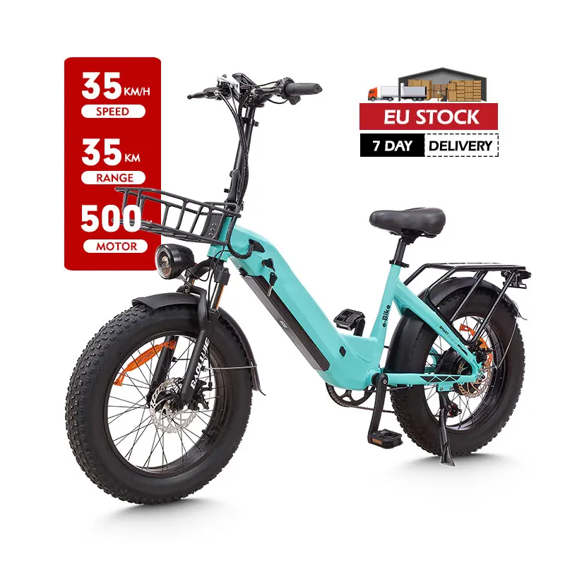 20 Inch Electric Bike with 500W Motor,Top Speed 25 Mph for Adults, 48V 12Ah Removable Battery,Max 25 Miles Long Range