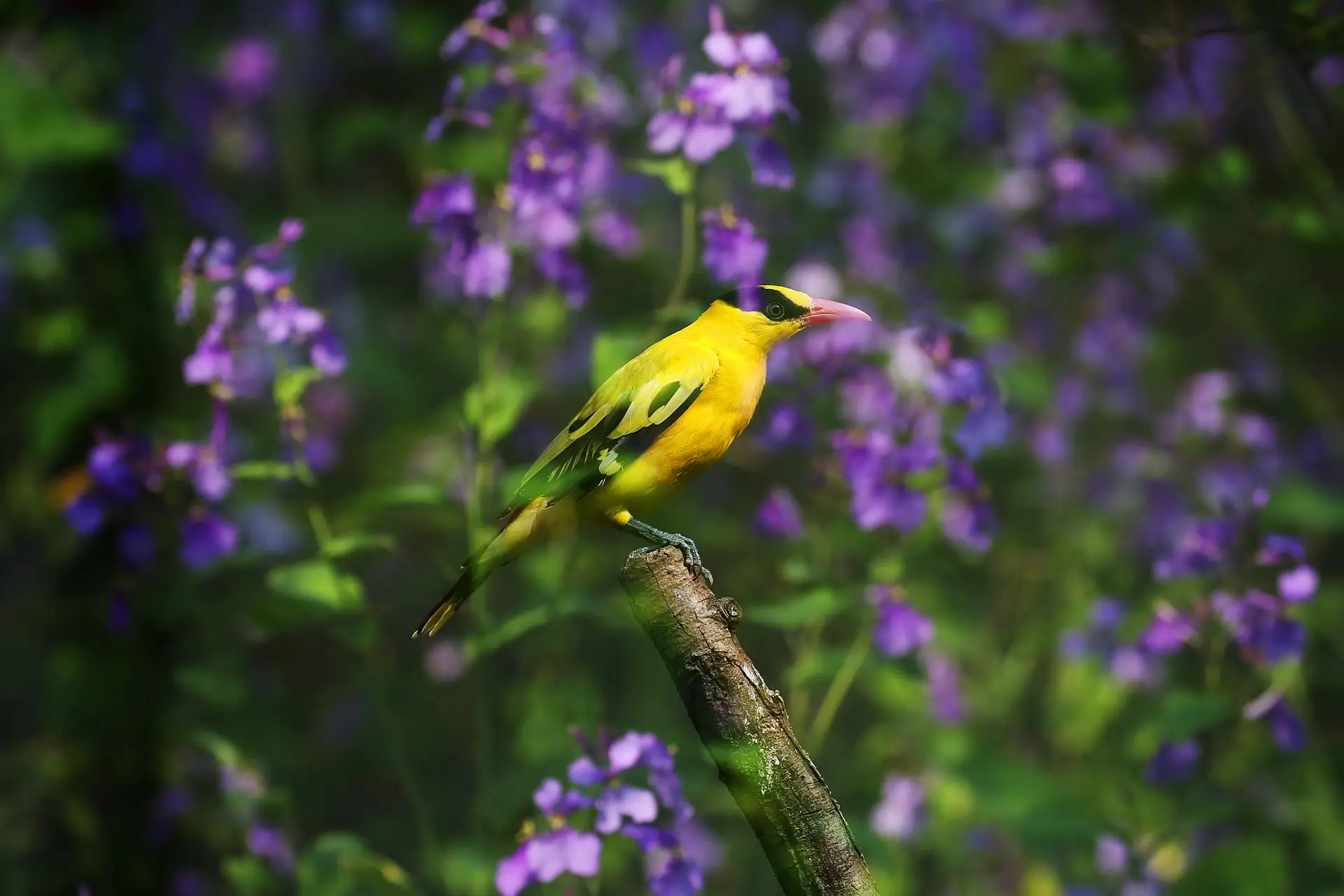 

2 шт. металлические кронштейны задней оси 8540 для Trxs UDR Unlimited Desert Racer 1/7, запчасти и аксессуары для радиоуправляемых машин