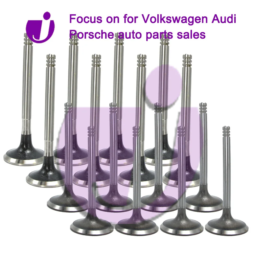 

Car Parts Intake Valves 078109601E 078109601B 078109601G Exhaust Valves 048109611B 06B109611H 048109611D For VW Golf Skoda Seat