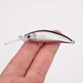 black back silver