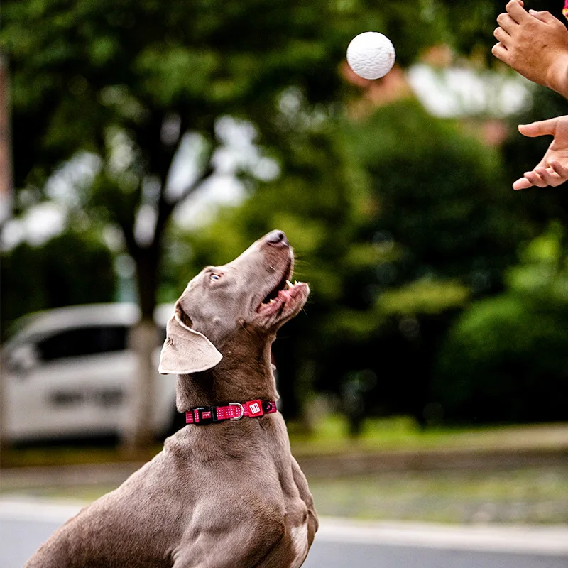 GiGwi Latest Doy Toys G-Ball Series Burst Ball Use BASF Infinergy Material Boost Technology Suitable for all dog breeds Chewing