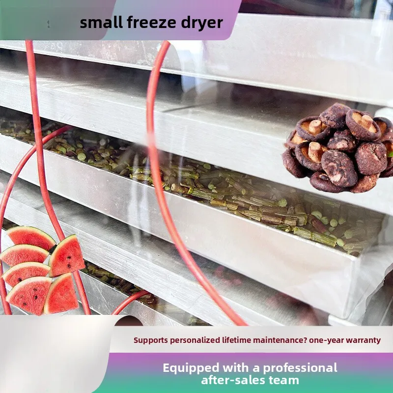 مكملات التجميل معدات شوربة تريميلا لحم الخنزير الخصر البطلينوس المأكولات البحرية فراغ آلة التجفيف بالتجميد