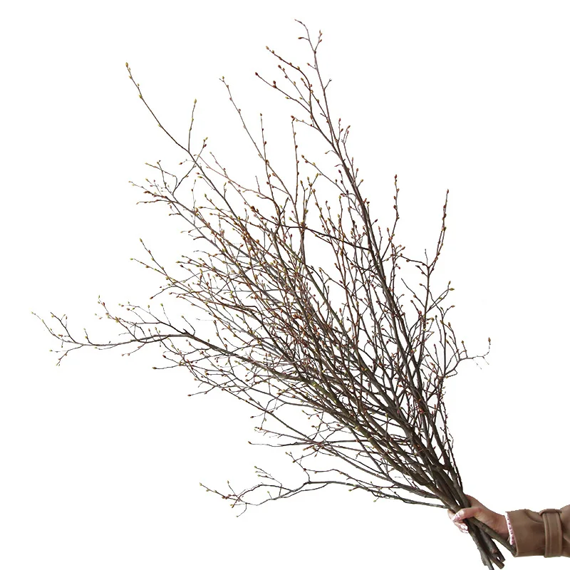 

LTT Magnolia branch dried flower Mori series wabi-sabi wind light luxury home decoration Chinese flower arrangement