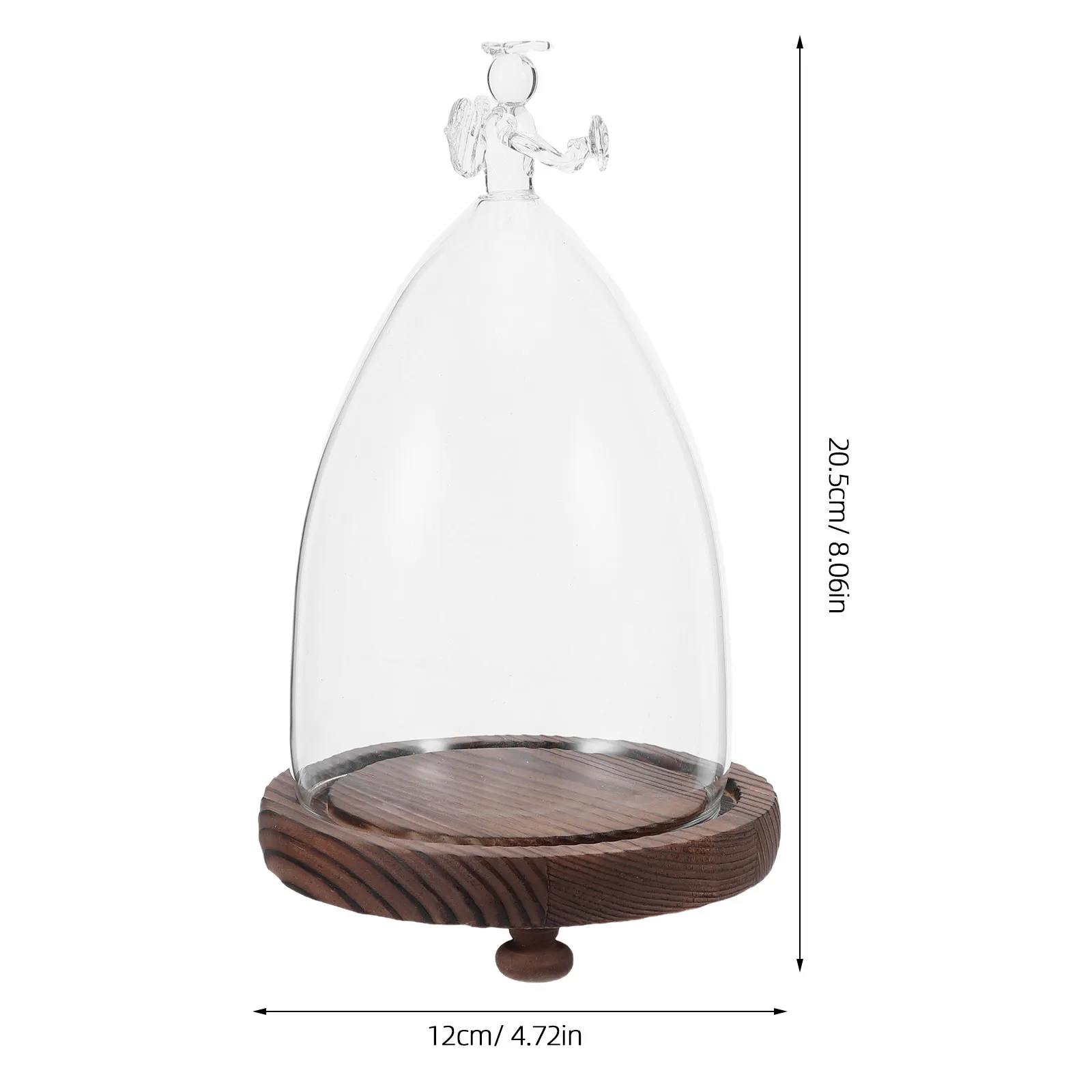 Preserved Flower Glass Dome Clear Cloche Wood Base Display Cover Rose Micro Landscape Wedding Decor Dried Plant Specimen Eternal