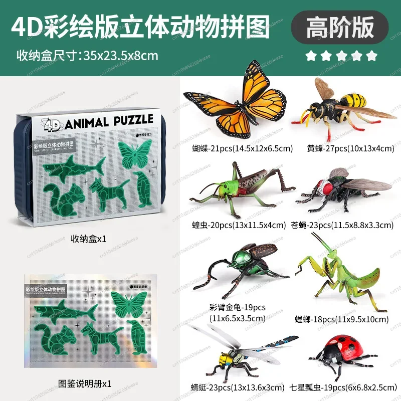 4D Insect Anatomy Model – STEM Learning Toy, Animal Assembly Kit for Children's Science Education