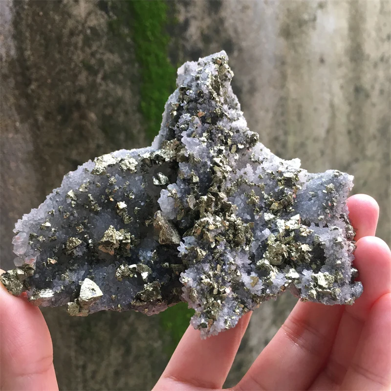 155g Natural Crystal Quartz With Pyrite Syngenetic Ore Specimen Cluster Natural Energy Healing Feng Shui Crystal Room Decoration