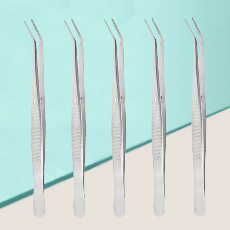 

5pcs Dental Cotton Tweezers Stainless Steel Forceps High Precision Medical Tools for Filling/Clip/Cotton Roll Holder & Nail Art