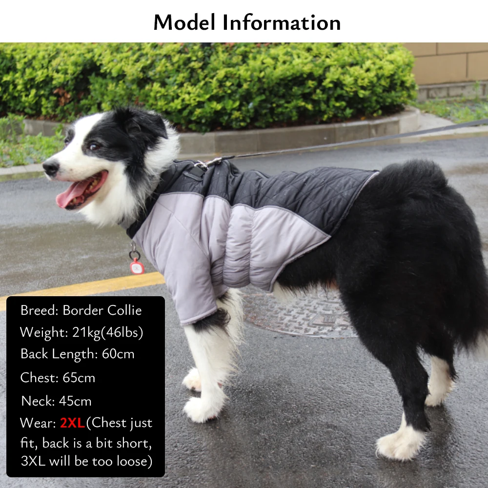 Winter Jackets for Dogs Waterproof Reflective Warm Pet Coat for Small Large Dogs Stretchy Belly Dog Outfit with D-Ring for Leash