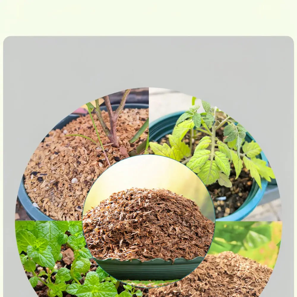 Fermented Rice Husk Organic Soil Conditioner For Succulent Flower Vegetable Garden Planting Root Development Support