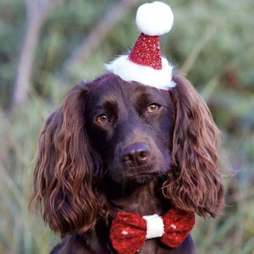 

2Pcs Pet Christmas Headwear Tie Set Soft Comfortable Puppy Dog Party Tricorne Bow Tie Photo Pet Hat Dog Tricorne Hat