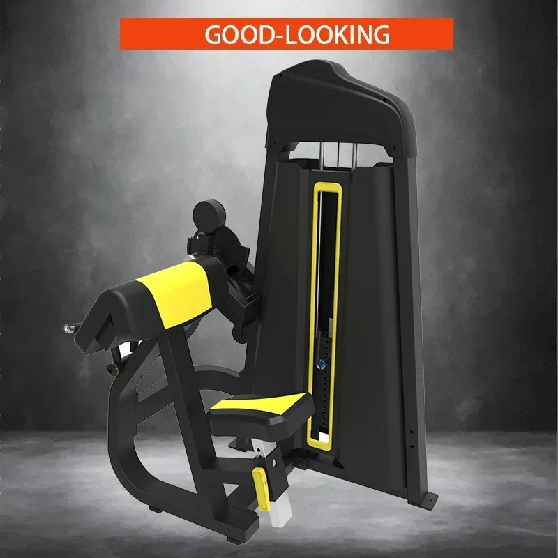Dual Function Strength Fitness Biceps Curl Triceps Machine