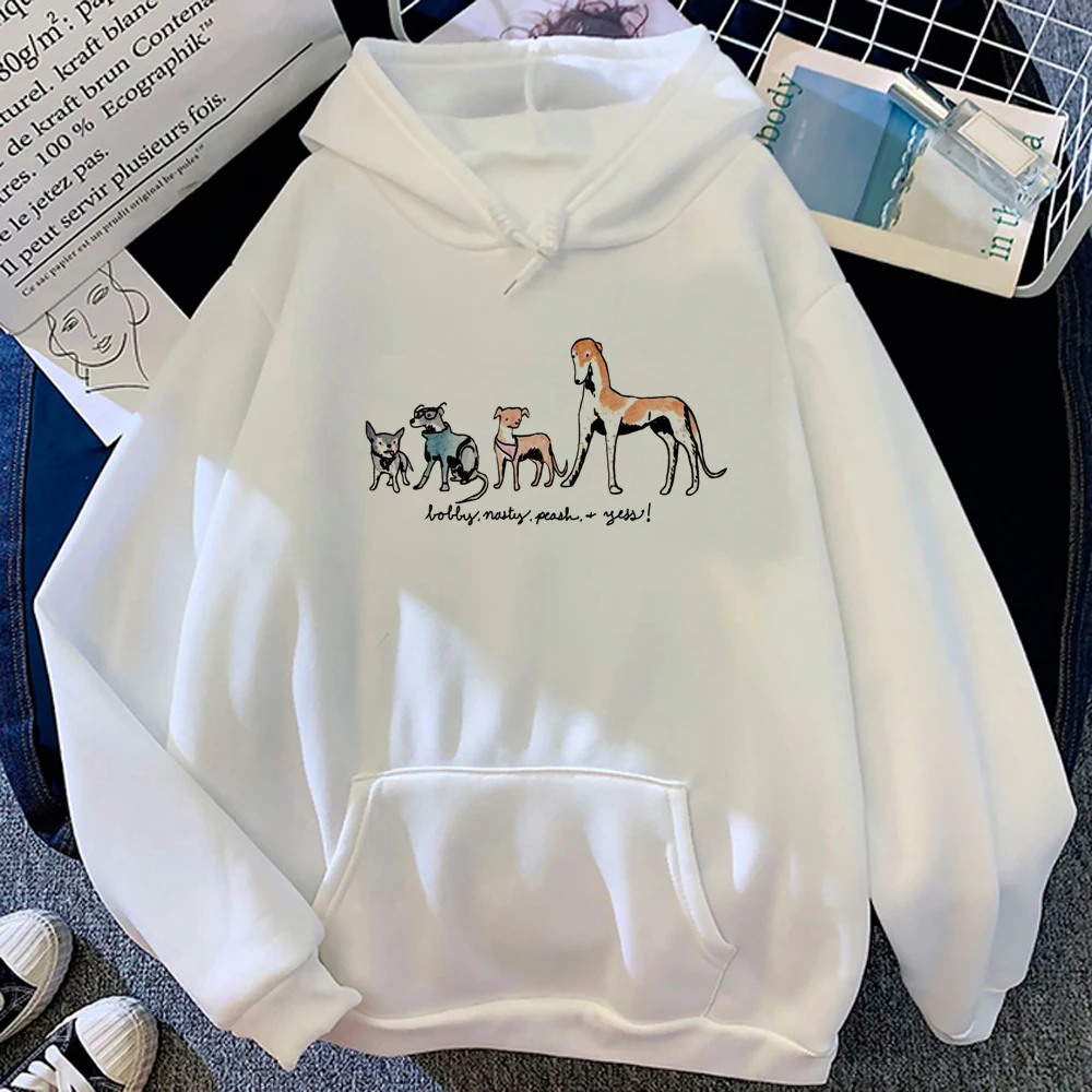 

greyhound