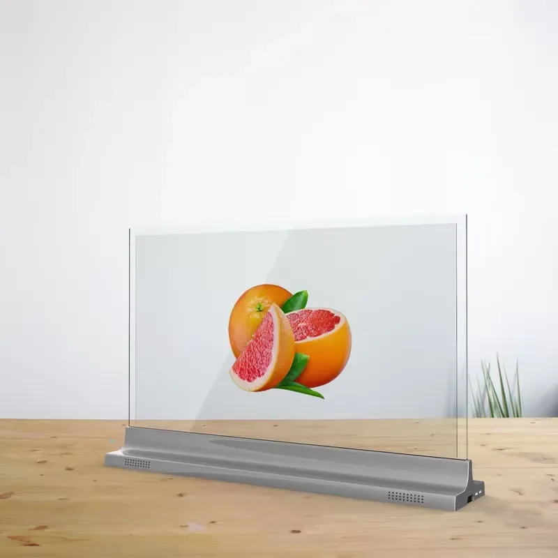 Indoor 55 Inch OLED Transparent OLED Displays Panel Screen for Advertising