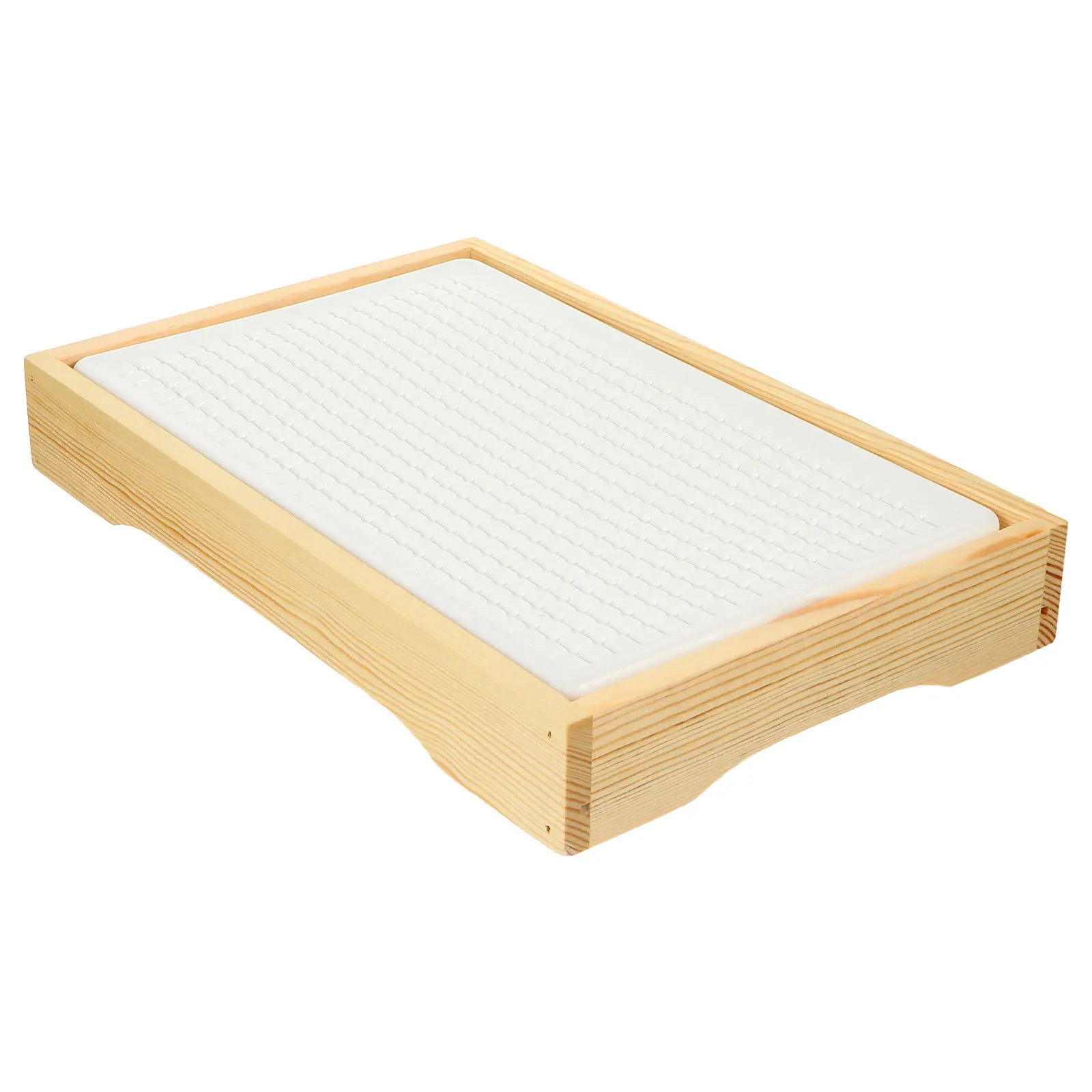 

Набор из 1 прочного пищевого ледяного лотка для сохранения свежести сырых продуктов, изолированный поддон для холодильника, для кухни