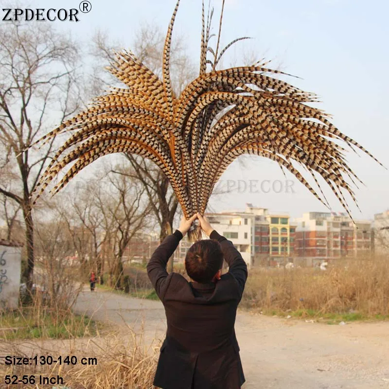 ZPDECOR ريش ذيل الدراج الطبيعي 130-140 سم / 52-56 بوصة للحرف اليدوية