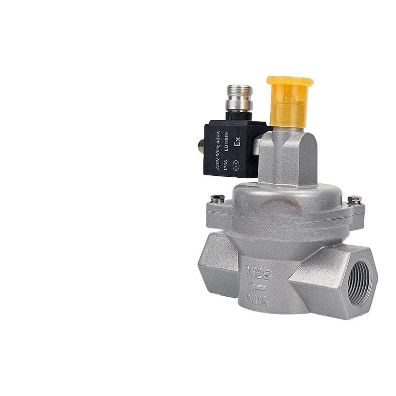 

Industrial Commercial Hotel Kitchen Natural Gas Normally Open Solenoid Valve Automatic Emergency Shut-Off DN15 20 25