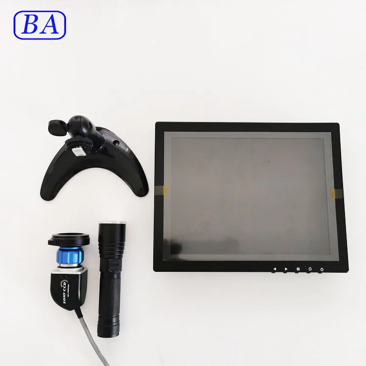 Professional Medical Portable Ent Endoscope