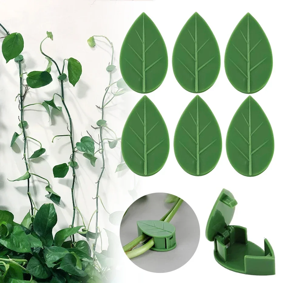 

10pcs Invisible Plant Climbing Wall Fixture Clips Leaf Shaped Self Adhesive Plant Vine Support Hooks with Sticker