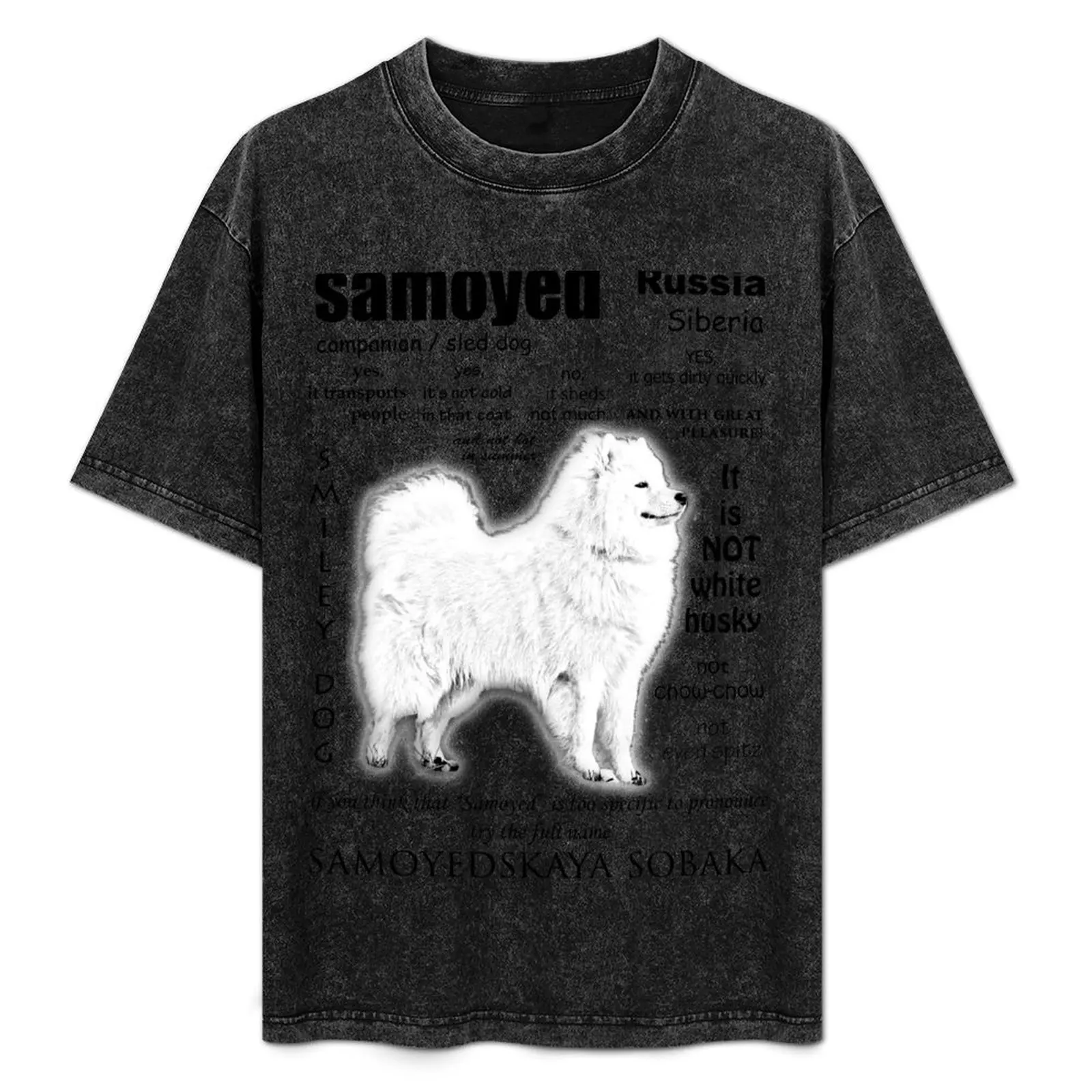 

Samoyed. FAQ. Grown Up T-Shirt Independence Day Short Sleeve T-Shirt