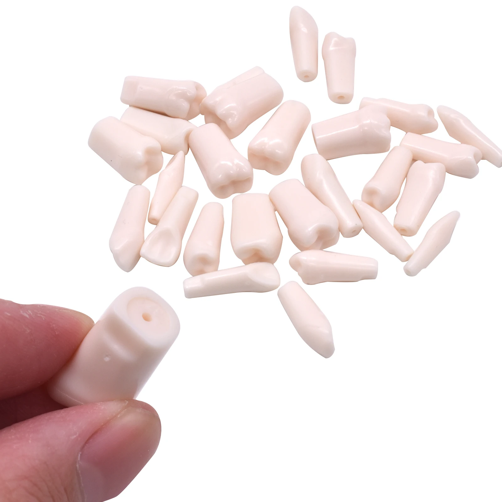 28 قطعة/المجموعة نموذج لشكل الأسنان ل فني الأسنان ممارسة الأسنان الراتنج محاكاة نموذج الأسنان الراتنج الأسنان التدريس وزارة الدفاع