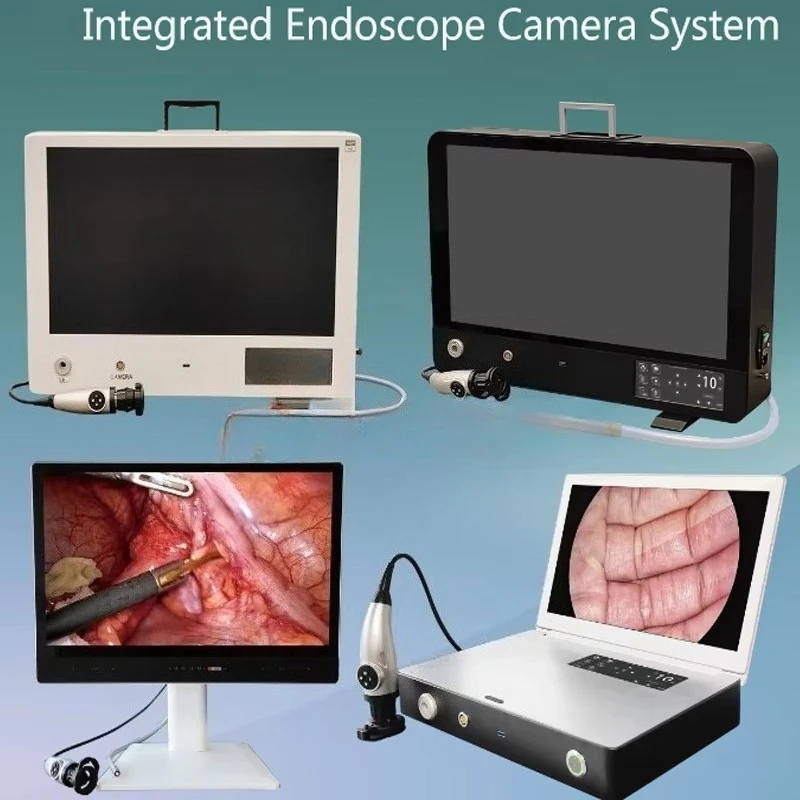 Portable veterinary endoscopic imaging device, endoscopic  system with high definition endoscopic  and LED lighting