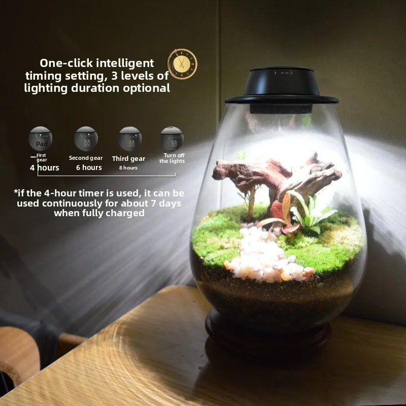 Rechargeable Plant Filling Micro Landscape Plant Growth Light Imitation Sun Full Spectrum Rechargeable Plant Light Fast Delivery