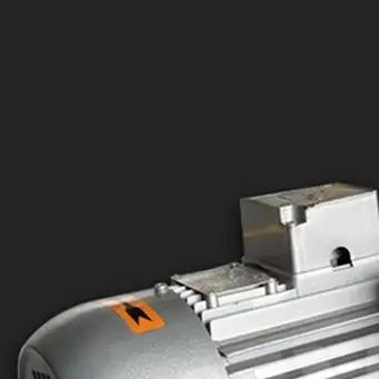 Fully Automatic Double Chamber Stewed Beef Meatball Vacuum Packing Sealing Machine