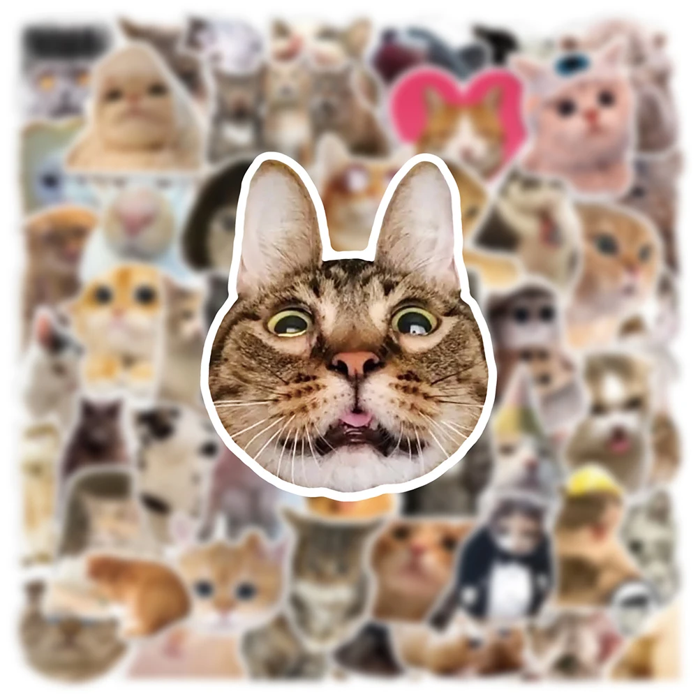 

10/30/50pcs Cute Funny Animal Cat MEME Stickers Decals DIY Motorcycle Laptop Suitcase Luggage Stationery Decoration Sticker Pack