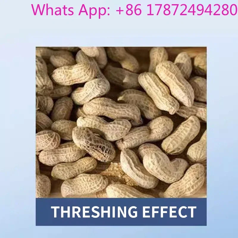 Automatic peanut picker electric groundnut thresher Arachis harvesters picking harvesting machine petrol motor Farming