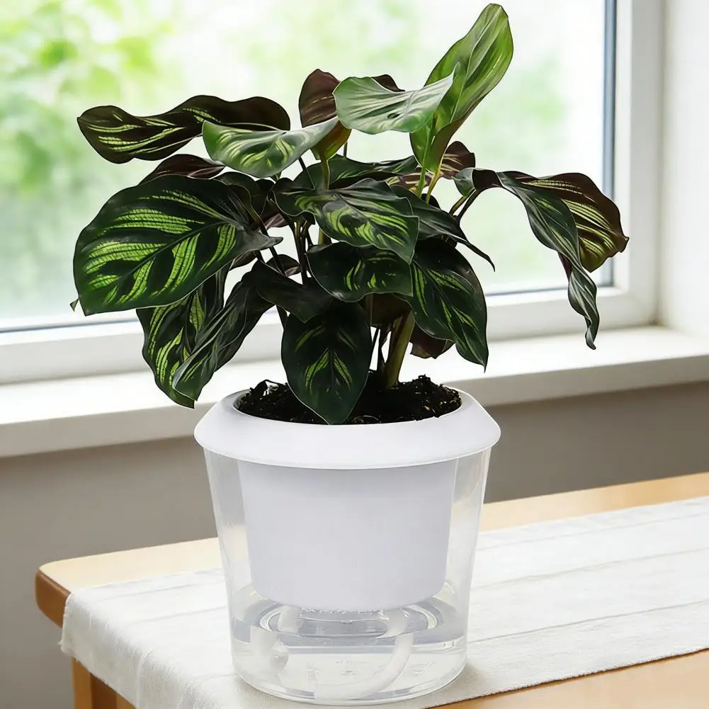 Self Watering Plant Pots with Reservoir Clear Plastic Round Flower Pot with Ropes for Succulents Herbs Flowers Home Decor