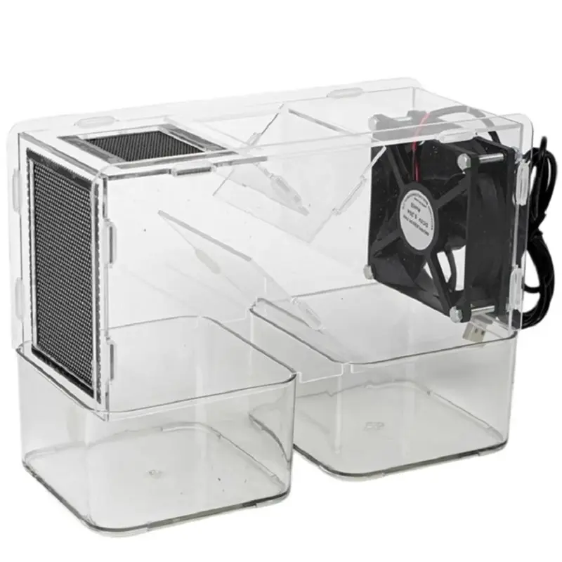 

ABBP-Mini Электрическая машина для очистки зерна от шелухи для птиц, бытовая, моющаяся, для зерновых и круп, инструмент для кормления птиц