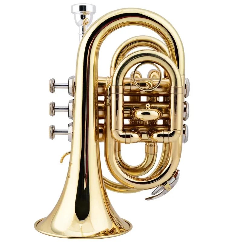 Gold Pocket Trumpet, Portable Bb Key Brass Wind Instrument