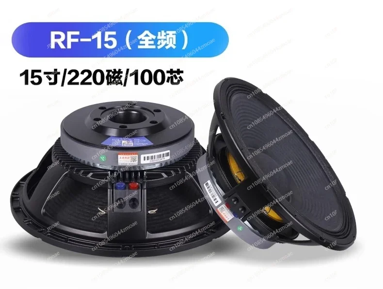 مضخم صوت كامل التردد 15 بوصة 220 مغناطيسي 100 كور 700 وات عالي الطاقة لأداء المسرح مكبر صوت KTV خارجي لحفلات الزفاف