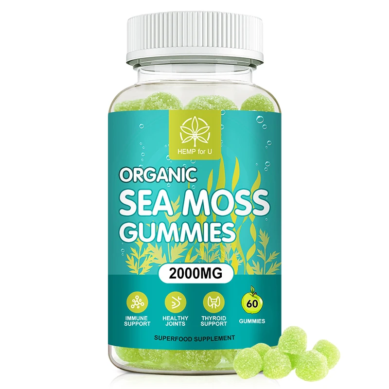 60 قطعة من علكات طحالب البحر الأيرلندية الطبيعية، صمغات نباتية وأرقطيون، تدعم المناعة والجوز والصحة العامة #1