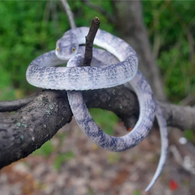 : Bionikus játékok