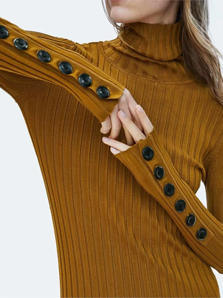 Women Winter Casual Sheath Maxi Dress Vintage Long Sleeve Female Knitted Turtleneck Button Bodycon