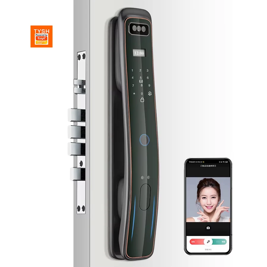 

STLF Electric Biometric Smart Door Lock Face Fingerprint Recognition for Aluminum Steel Wooden Doors WiFi Compatible