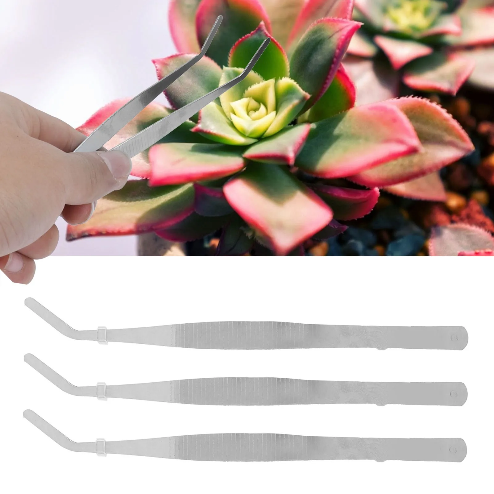 

10Pcs Stainless Steel Tweezer Curved Nippers Tools DIY Succulent Gardening Tools