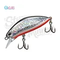 Silver Shiner