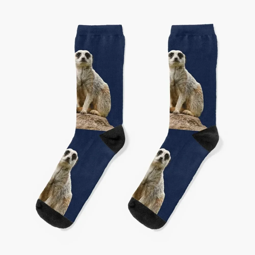 Meerkats 3 Socks christmas gift winter gifts professional running Socks Women Men's