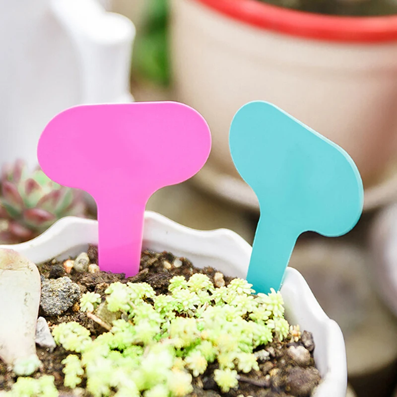 Label halaman rumput taman, penanda label tipe T tanaman plastik 5*7cm 100 buah