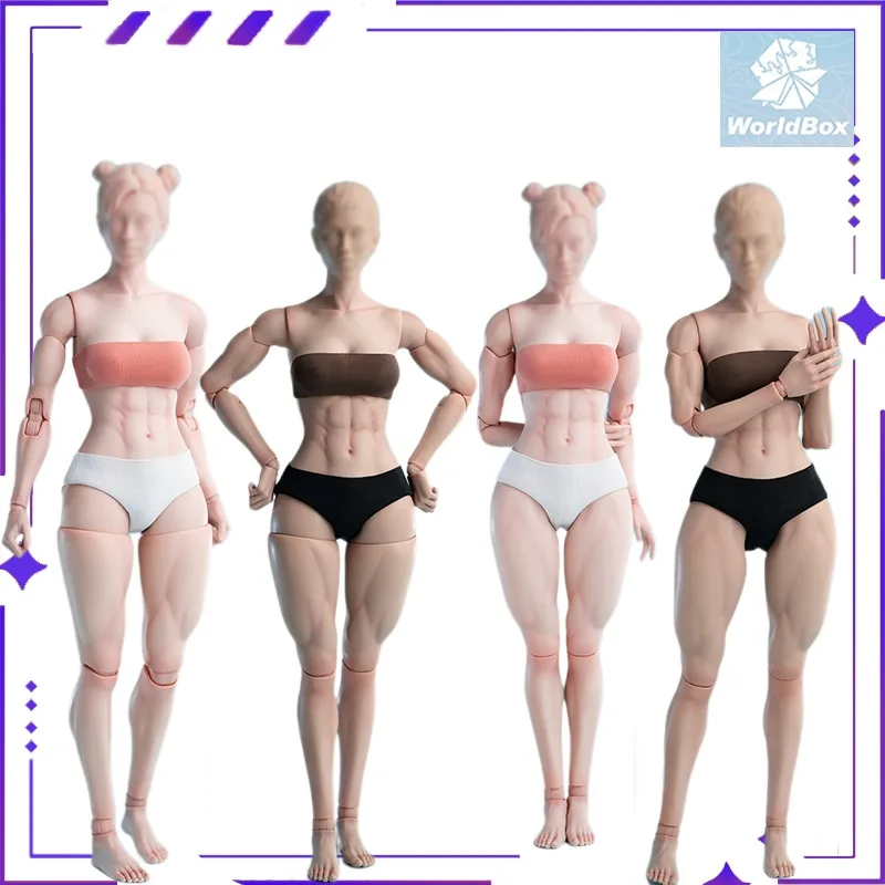 

Оригинальный Worldbox AT206 1/6, женская вегетарианская мускулистая версия, подвижный аксессуар для куклы, модель игрушки, подарочная коллекция на складе