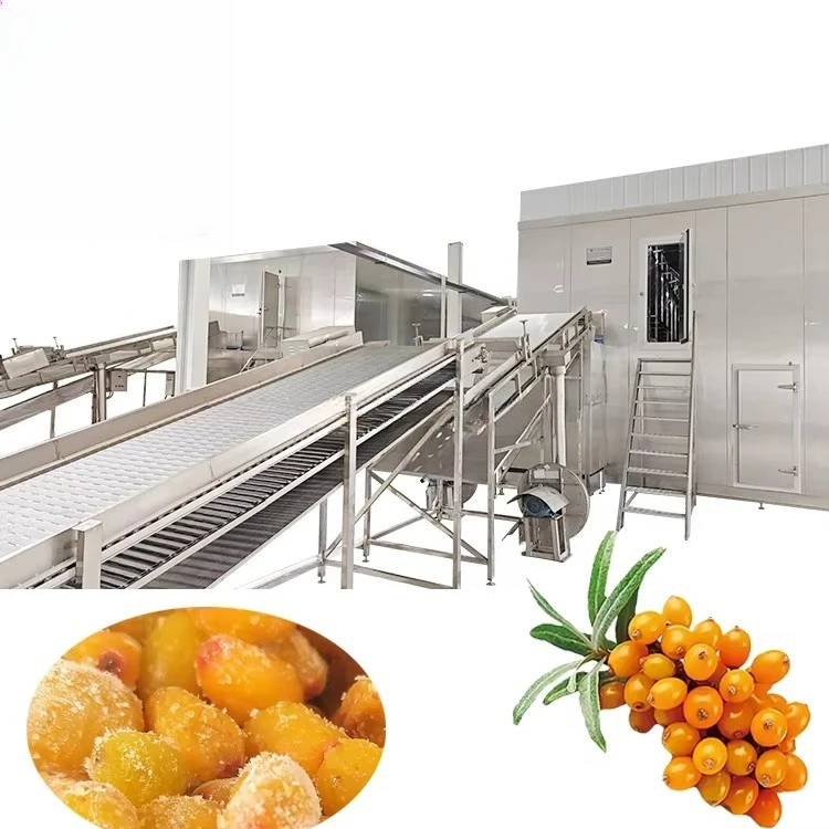 Factory Direct Price IQF Freezer - Fruit & Veg Processing Line for Strawberry/Grape/Broccoli/Pineapple