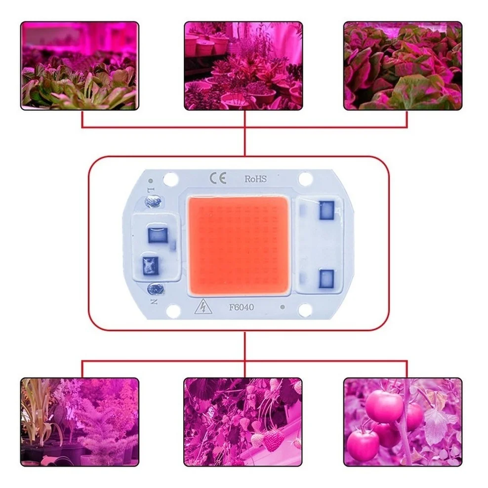 COB Led Grow แผ่นเรืองแสงชิป Full Spectrum 220V 110V 20W 30W 50W 380-780nm Phyto โคมไฟในบ้านโรงงานต้นกล้าดอกไม้ Fitolampy