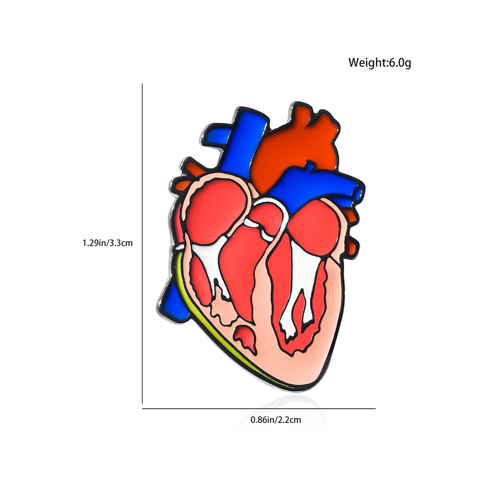 Human Organs Heart Anatomy Diagram Enamel Pin Brooch Hospital Cardiology Badge Jewelry Lapel Hat Medical Biology Souvenir Gift