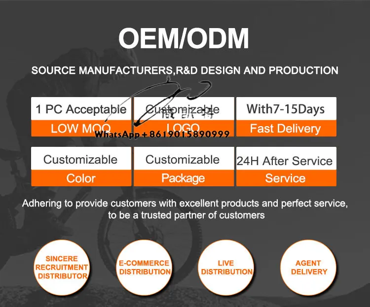 مصنع OEM/ODM Ebike سبائك الألومنيوم الدهون الإطارات E-الدراجة الهجين مدينة الطريق الجبلية الكهربائية الترابية دراجة الصلب إطار ثابت للكبار
