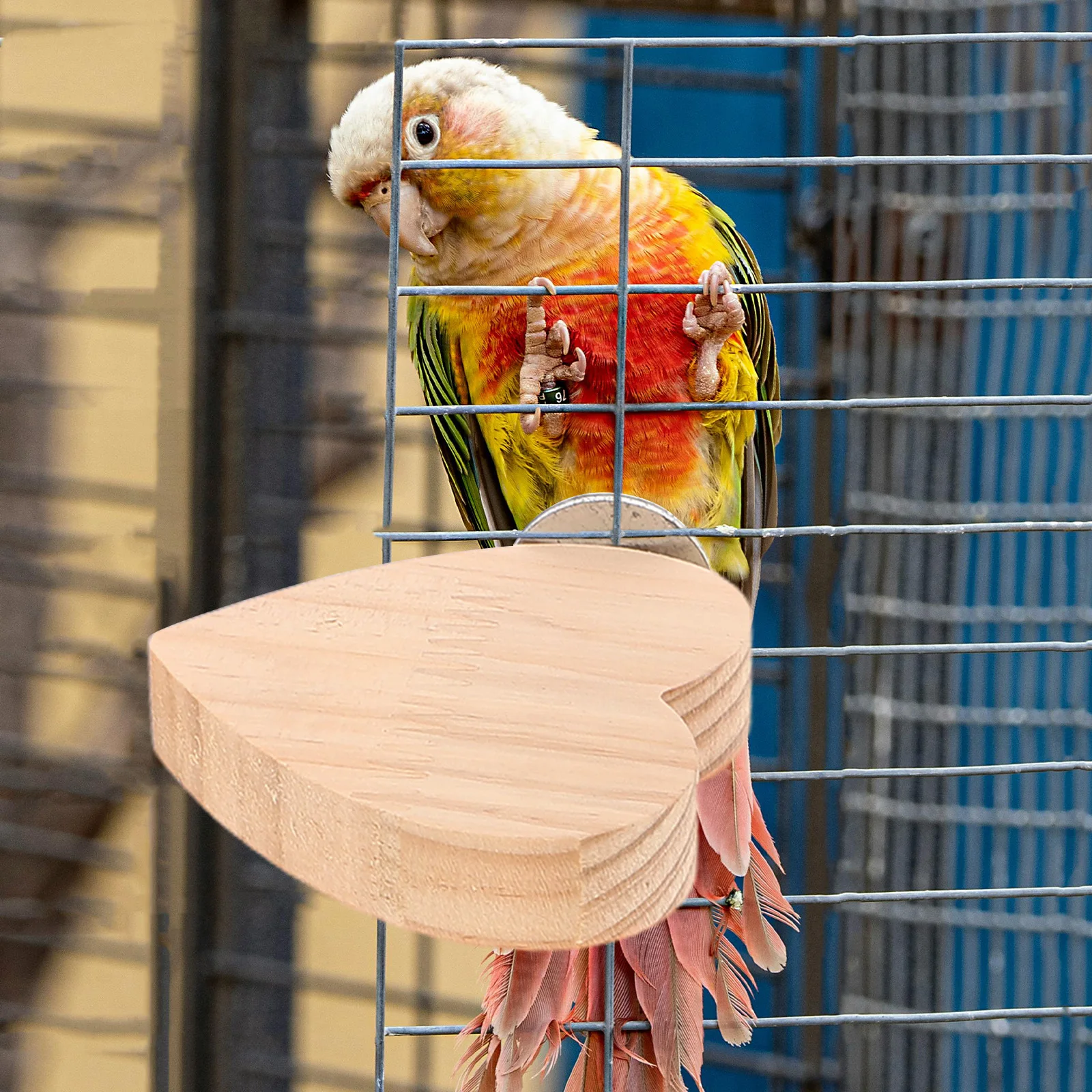 4 Stück Papageien-Barsch-Ständer, Holzplattform, ruhender Spielplatz für Wellensittiche, Nymphensittiche, kleine Vögel, Vogelkäfig-Zubehör